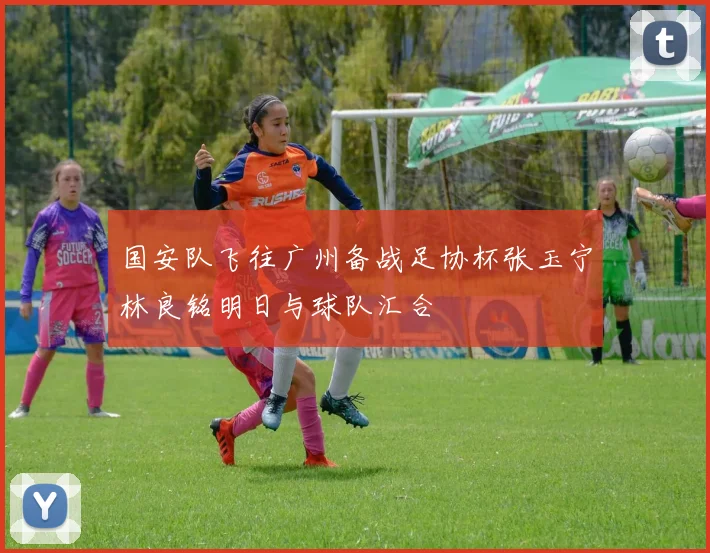 国安队飞往广州备战足协杯张玉宁林良铭明日与球队汇合